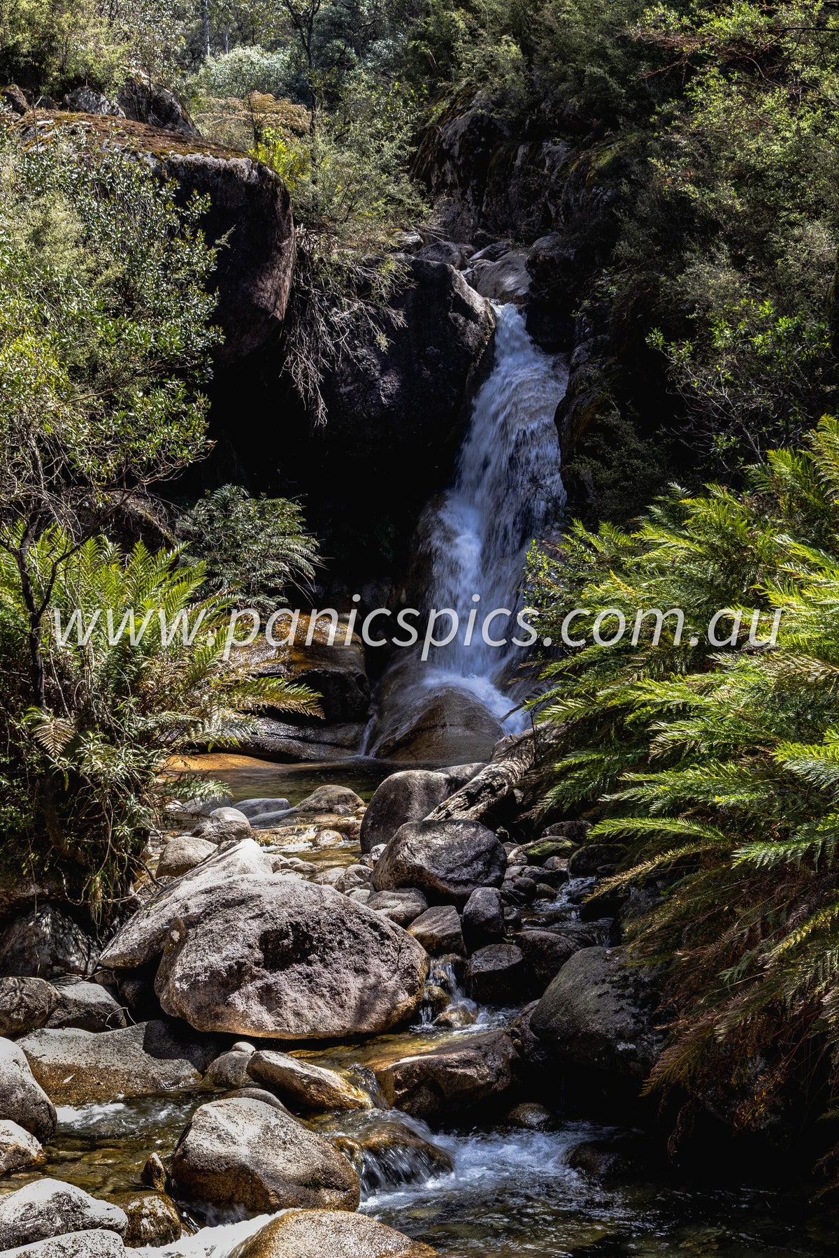 A scenic landscape photograph of a small waterfall cascading over rocks into a stream, surrounded by dense green ferns and forest.