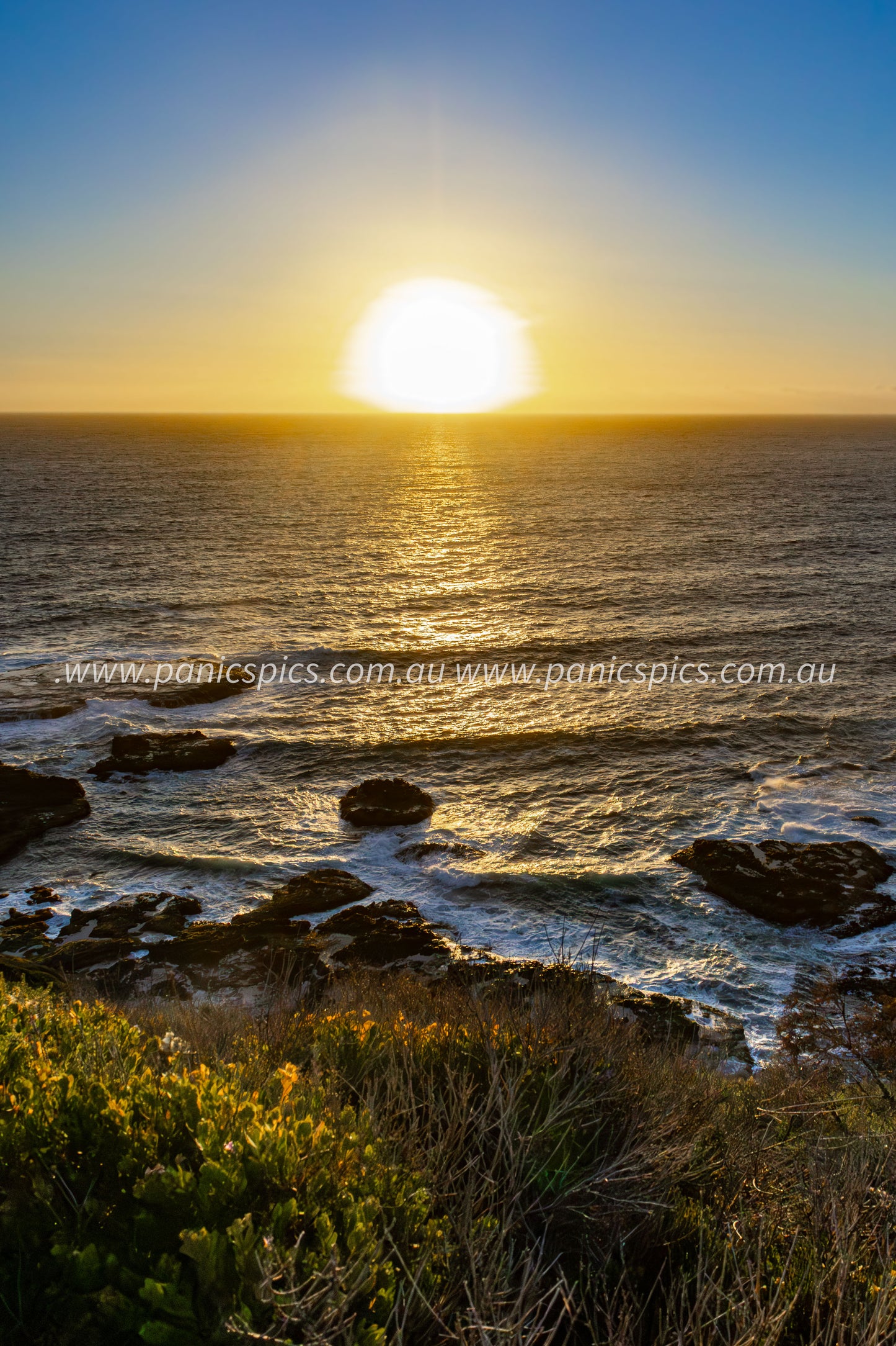 Sunset over the ocean with rocks and vegetation in the foreground