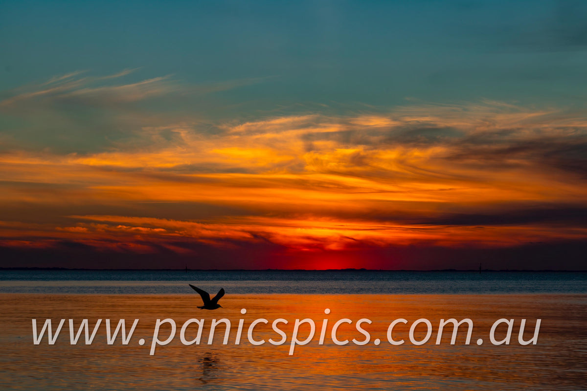 A scenic sunset over calm water with a bird silhouette flying across the frame. The sky shows dramatic bands of orange, yellow, red, and deep blue, with the sun low on the horizon reflecting warm light on the water.