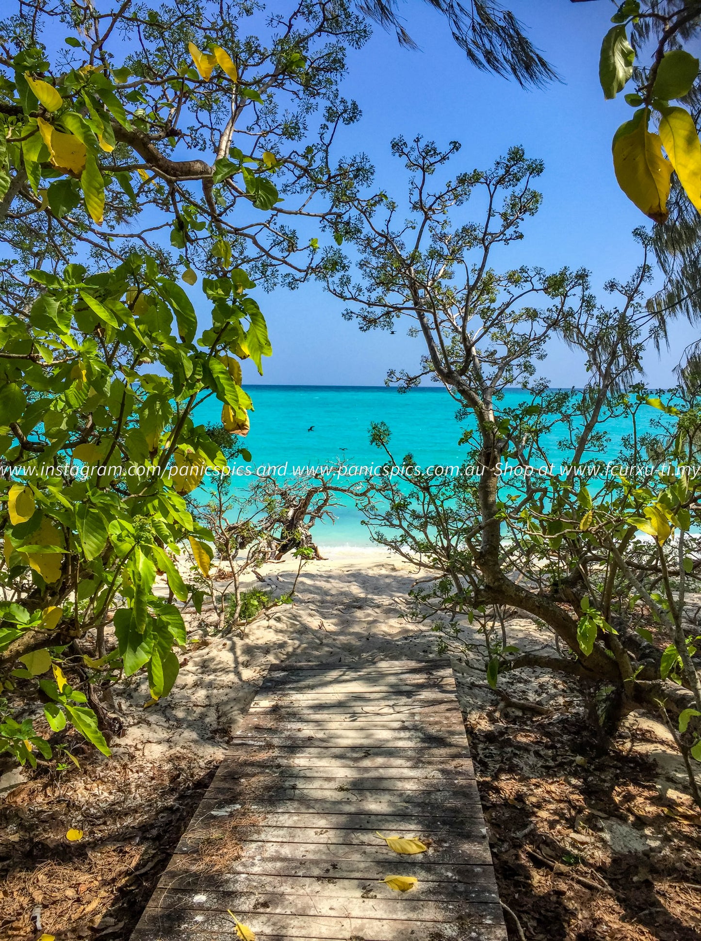 Wooden pathway leading to a beach with turquoise water and clear blue sky.