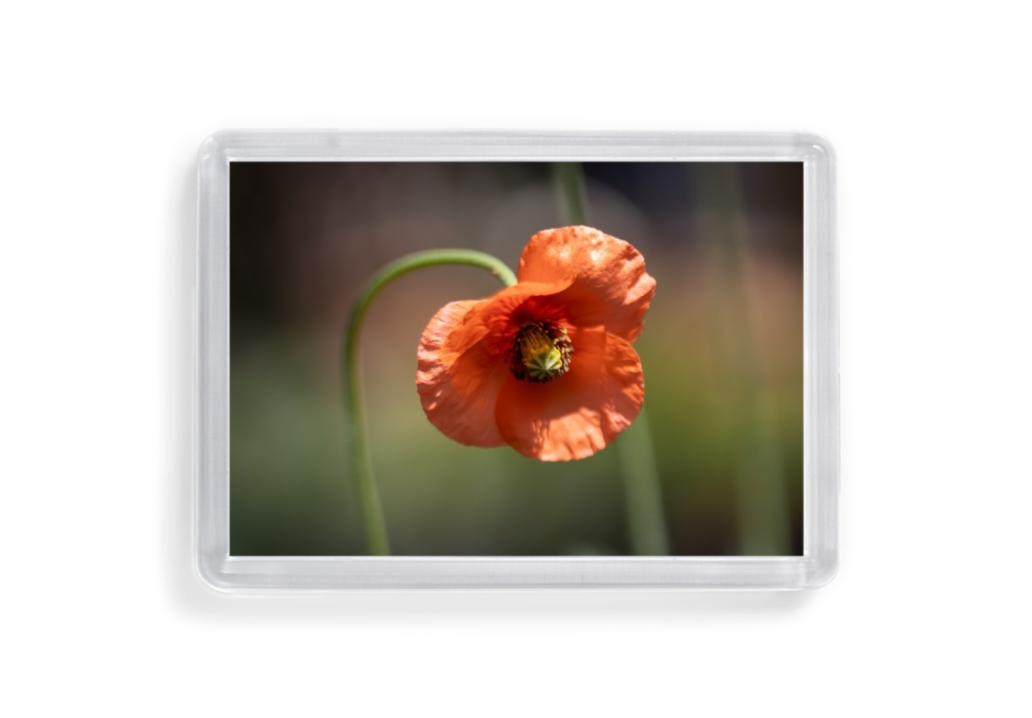 Acrylic magnet set 1