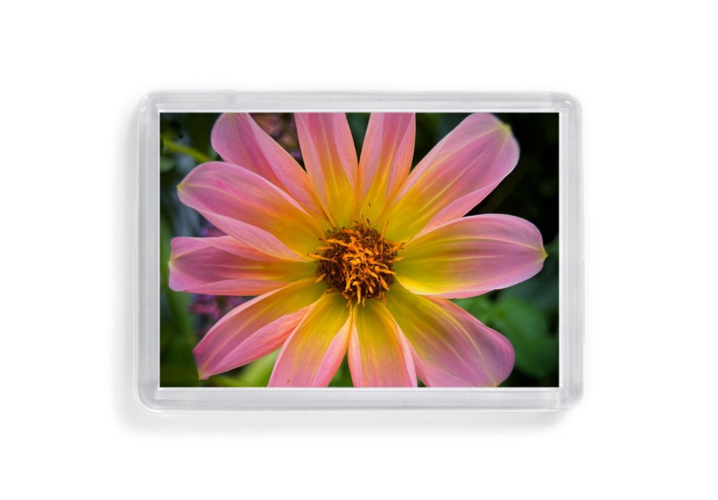 Acrylic magnet set 1