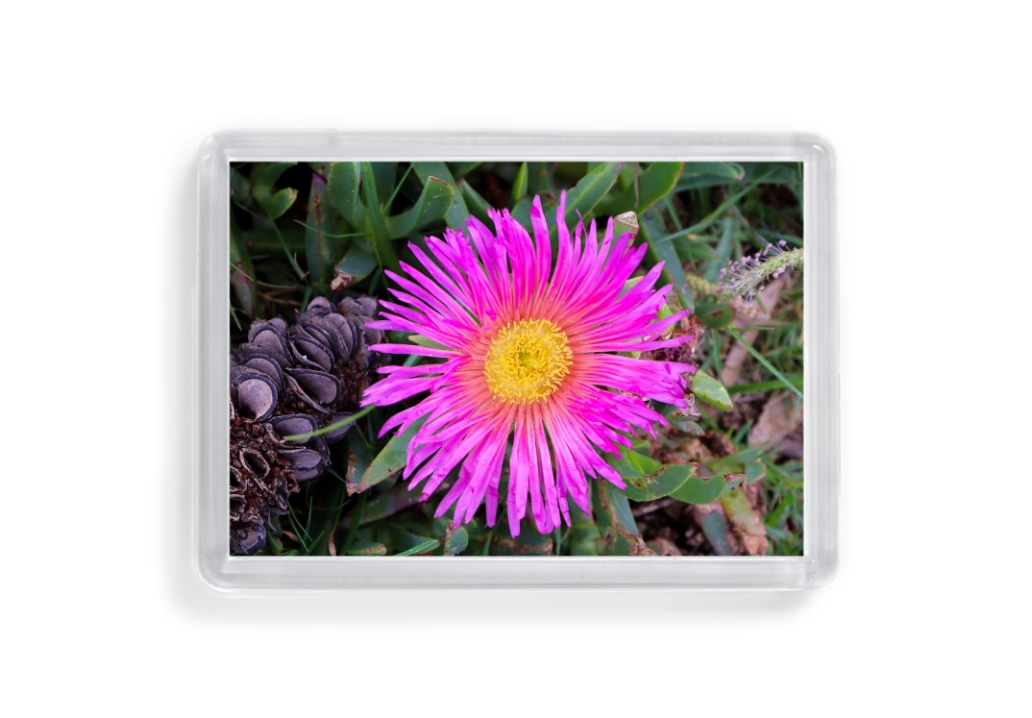 Acrylic magnet set 1