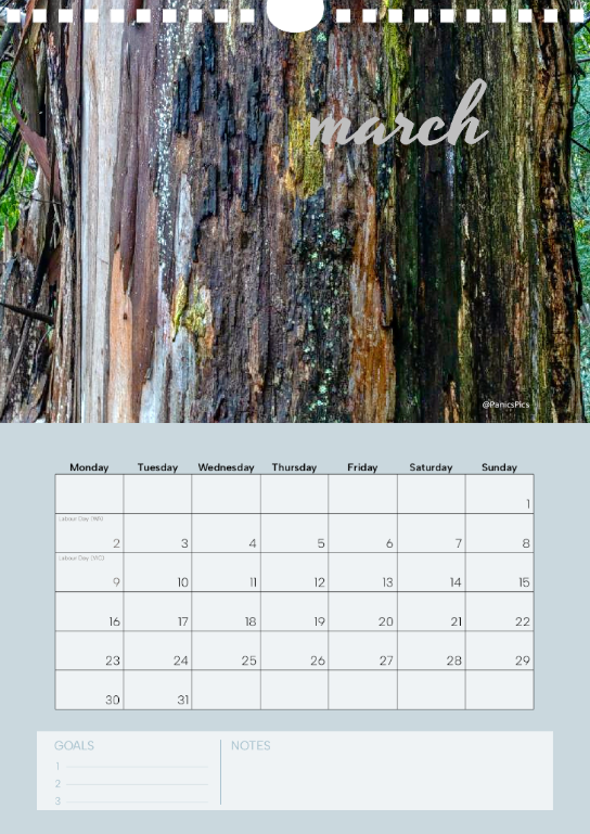 Country Life A4 calendar