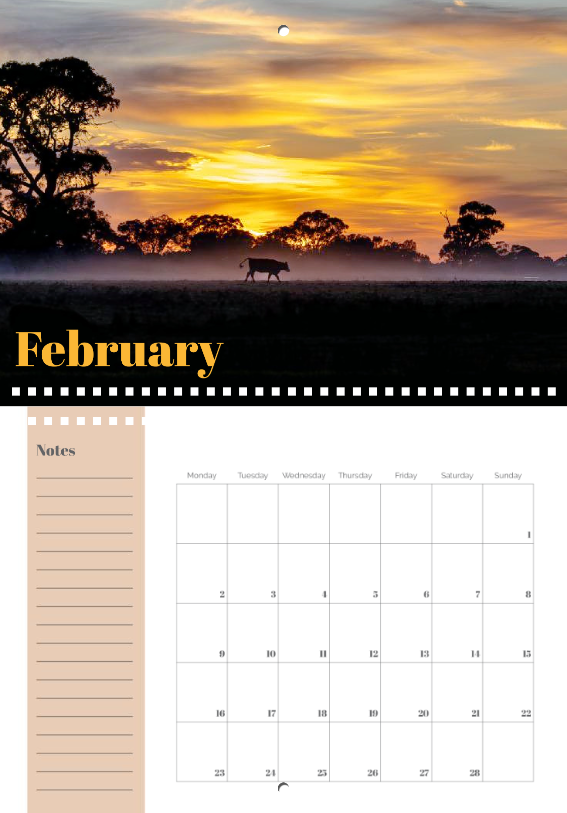 Country to coast double A4 calendar