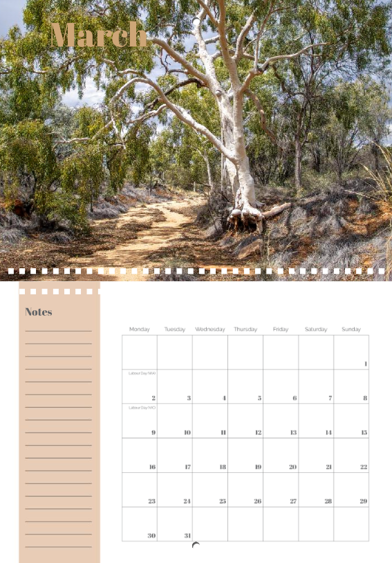 Country to coast double A4 calendar