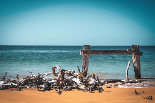 Driftwood on a beach with a wooden frame and ocean in the background
