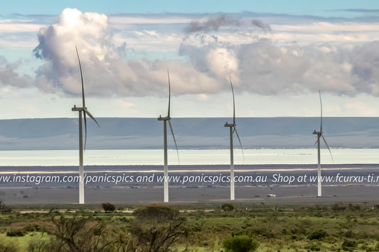 Wind turbines in a field with a cloudy sky