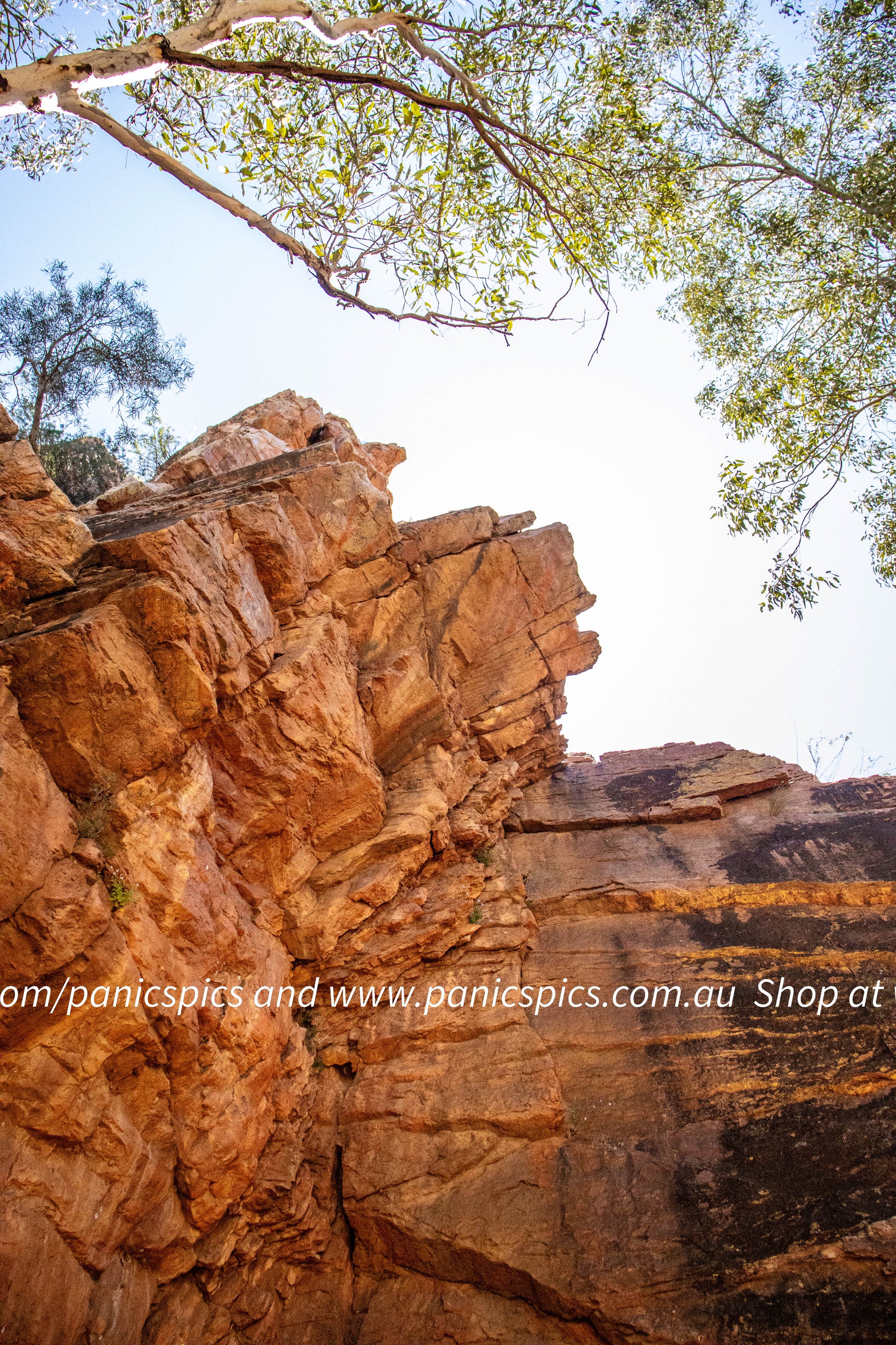 Rocks with tree branches and leaves in the foreground