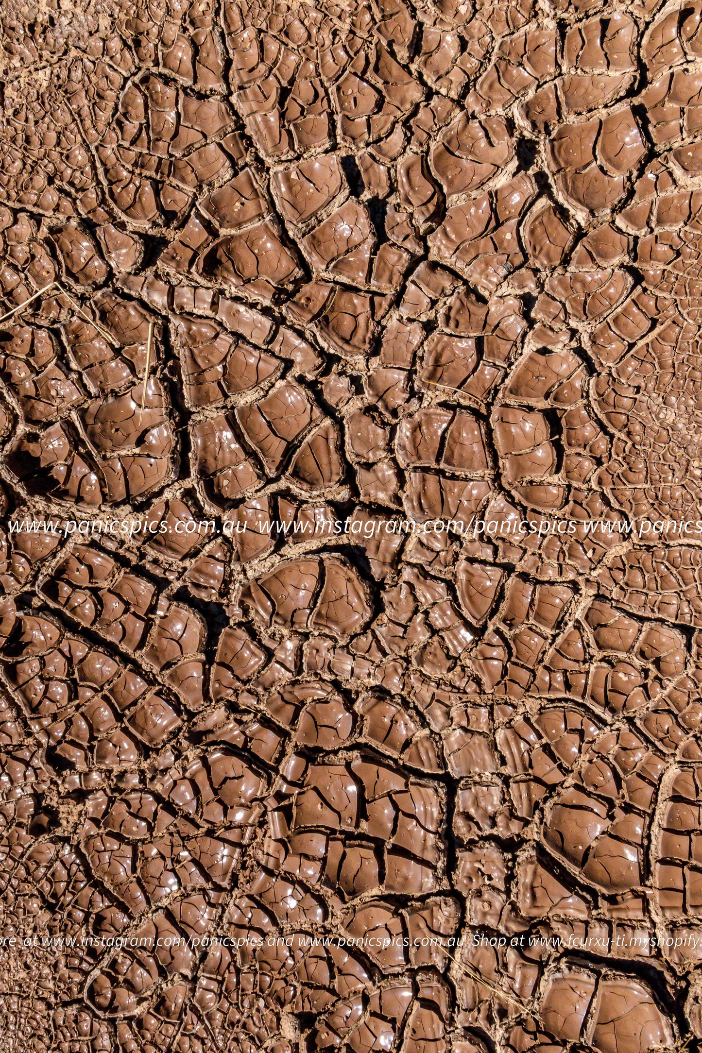 Close-up of a cracked, dry earth surface