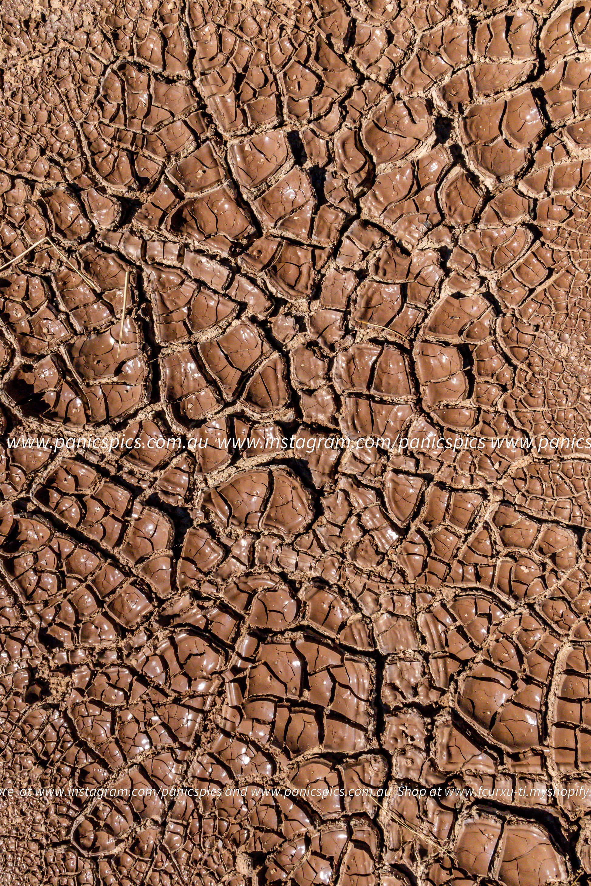 Close-up of a cracked, dry earth surface