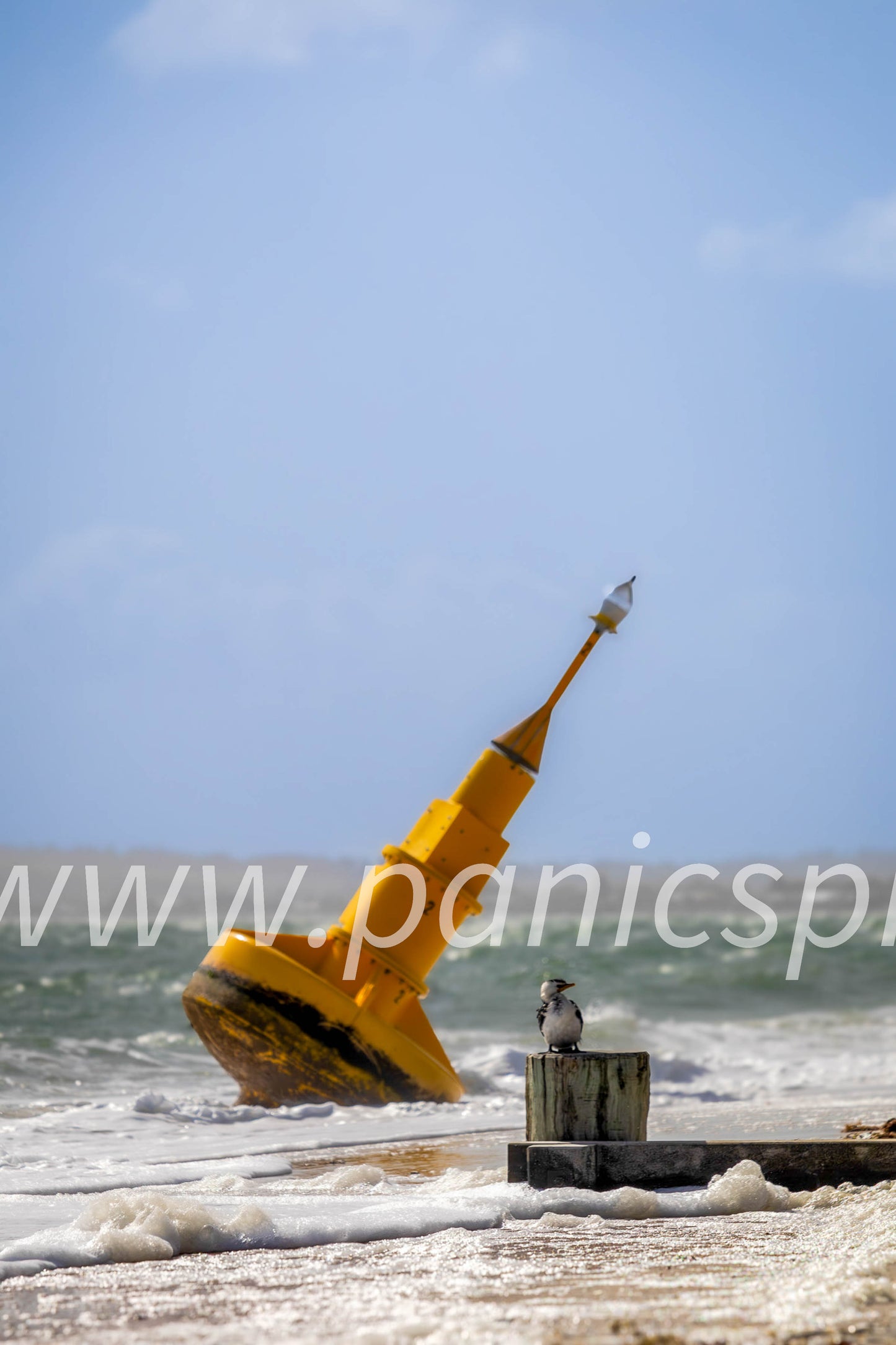 Yellow buoy on a beach with a clear blue sky