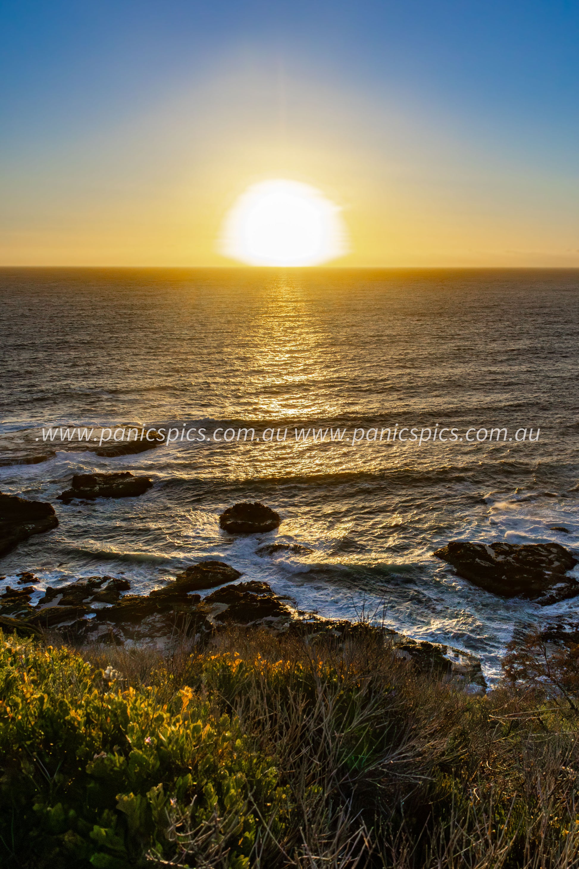 Sunset over the ocean with rocks and vegetation in the foreground