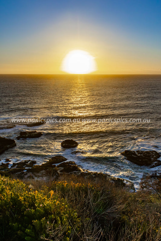 Sunset over the ocean with rocks and vegetation in the foreground