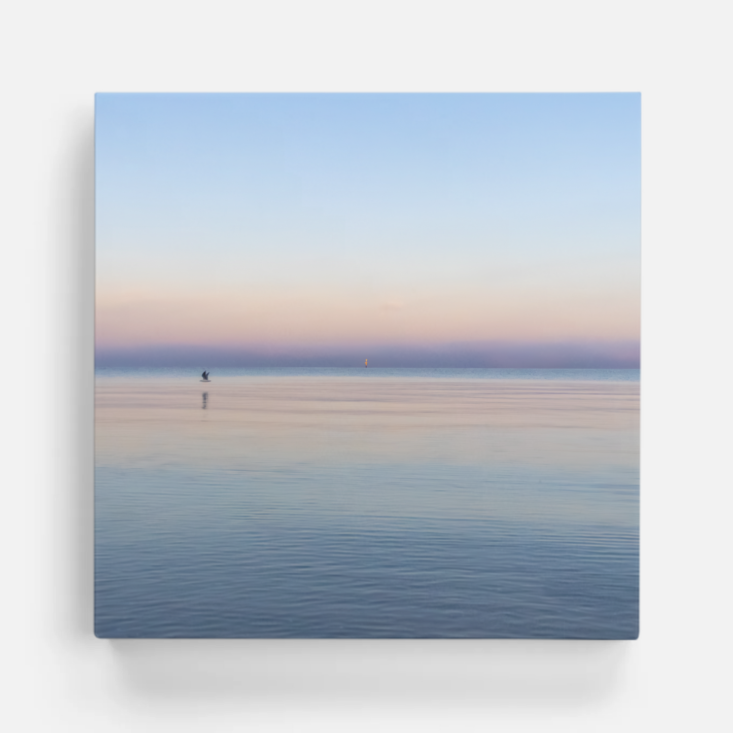 Seagull on a sunrise