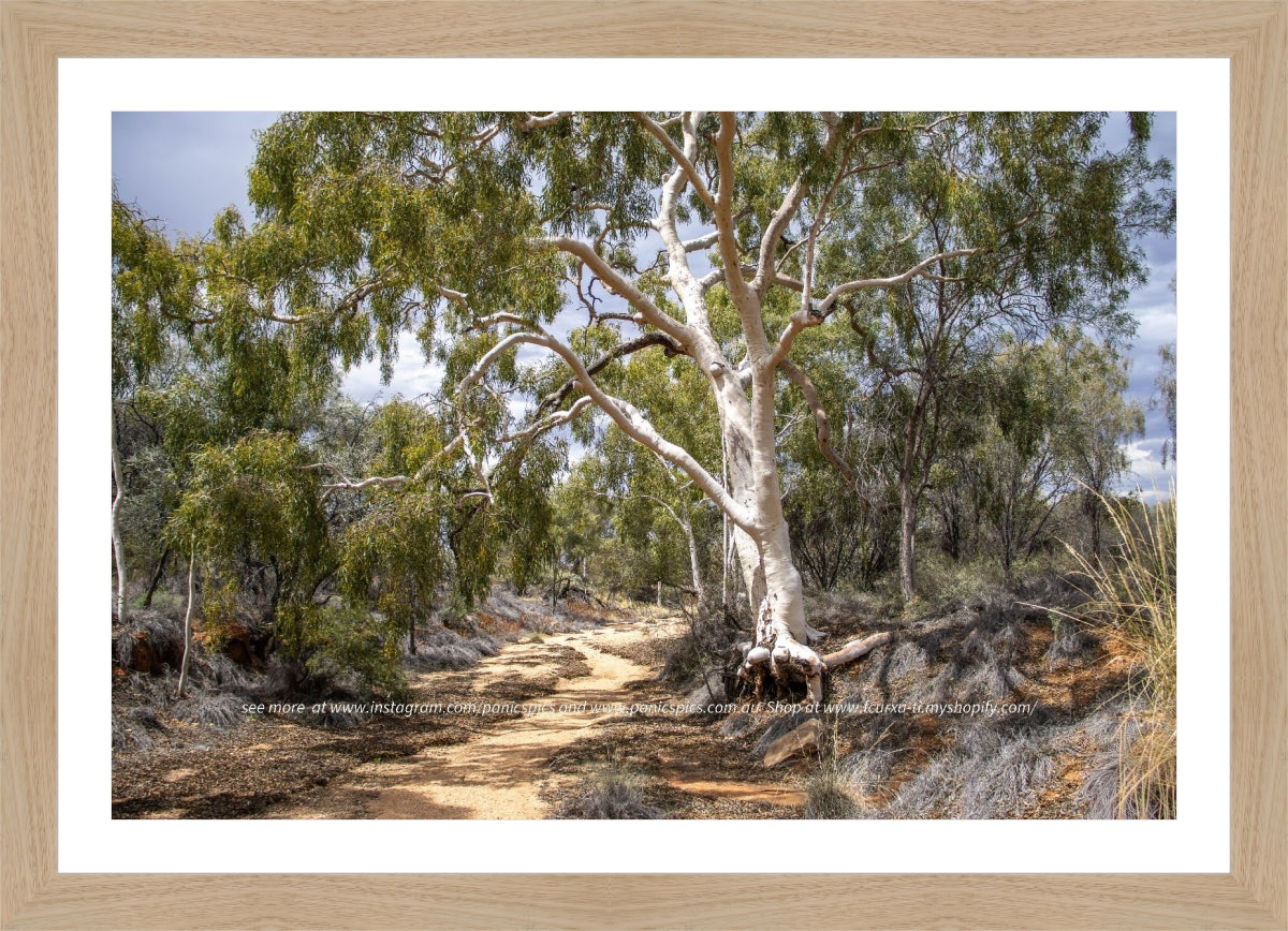 **LIMITED EDITION** River runs dry