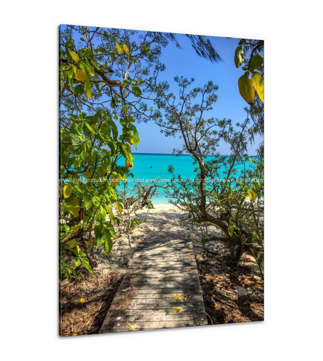 Path to paradise