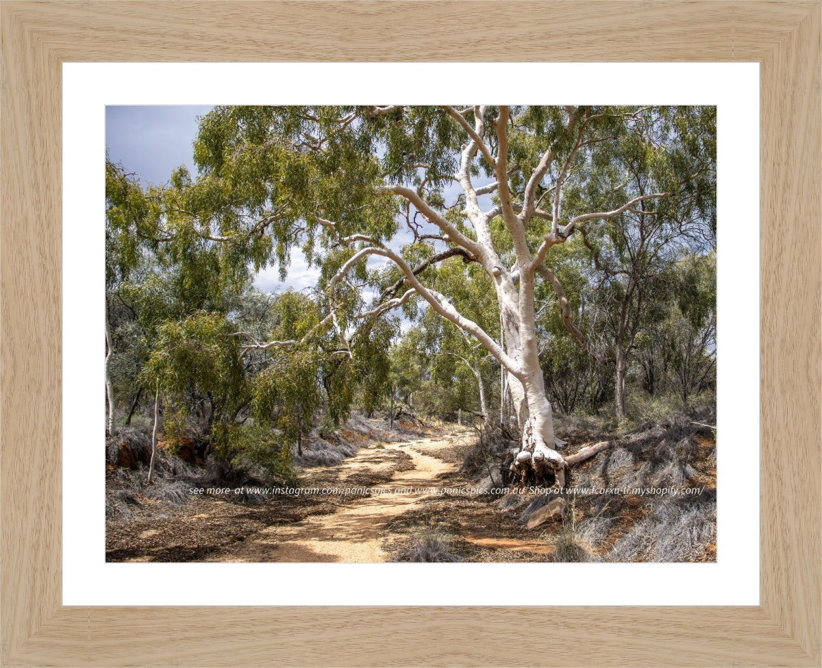 **LIMITED EDITION** River runs dry