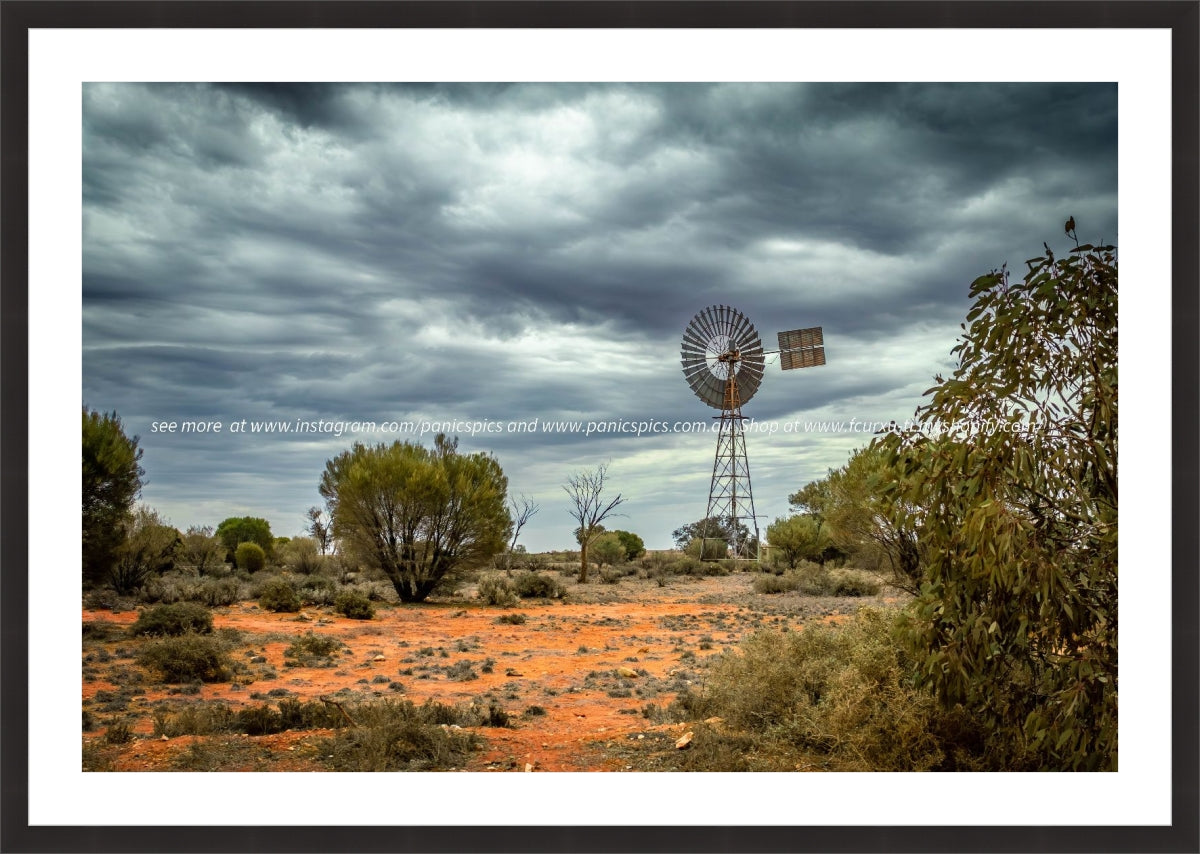 **LIMITED EDITION** Windmill in the desert