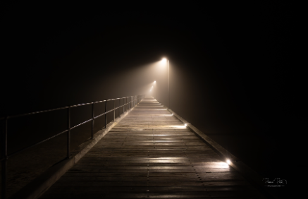 Into the fog